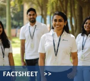 factsheet-small