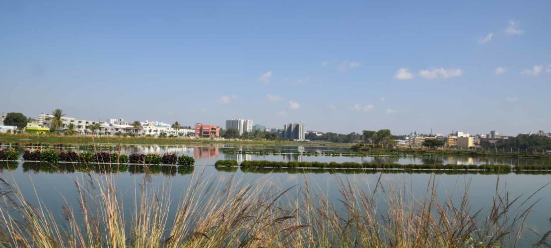 Biocon Foundation has rejuvenated Hebbagodi Lake which was once a garbage dump in Electronic City, Bengaluru, India